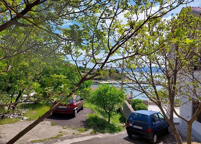 Vida *
